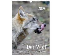 Der Wolf - Isegrim in den heimischen Wäldern - Kalender 2026 (Wandkalender 2026 DIN A3 hoch), CALVENDO Monatskalender: Einzigartige Aufnahmen von Wölfen in den heimischen Wäldern