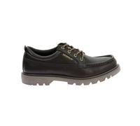 Derbie Caterpillar Colorado Moc Marron 41