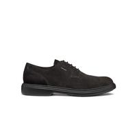 Derbie Geox Ottavio Marron 46