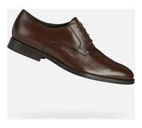Derbies Geox Hampstead Homme Marron - 41 Marron