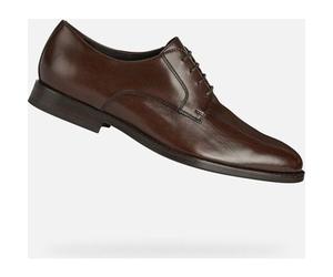 Derbies Geox Hampstead Homme Marron - 41 Marron