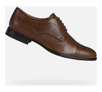 Derbies Geox Iacopo Homme Marron - 43 Marron