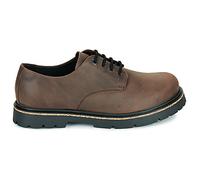 Derbies hommes BIRKENSTOCK Highwood Lace Low LEOI Habana Marron 41