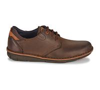Derbies hommes Fluchos ALFA Marron 43