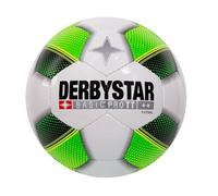 Derbystar Intérieur Futsal Basic Pro TT Blanc/Vert ONE-SIZE