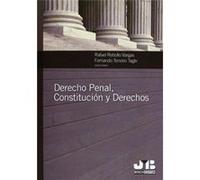 Derecho Penal, Constitución Y Derechos. Unknown (Auteur)