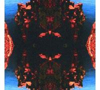 Derek Bailey & the Ruins - Tohjinbo [Import]