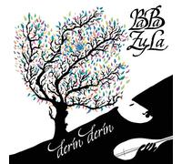 BaBa ZuLa Derin Derin (Vinyl) 12" Album