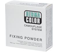 Dermacolor Poudre de fixation P11 60 g