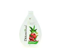 Dermomed Crème de savon Aloe et mélogrène 1 l