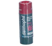 Dermophil Baume Lèvres Hydratant Teinté Prunelle 4g