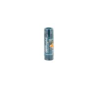 Dermophil Indien Stick Protection Gout Miel 4 Grammes
