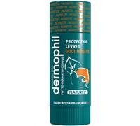 Dermophil Indien Stick Protection Lèvres Noisette 4g