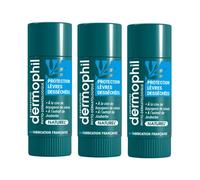 Dermophil Indien Sticks Protection Lèvres Desséchées Bio Lot de 3 x 4g