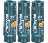 DERMOPHIL Stick Lèvres Bio Miel Stick(S) 3x4 g