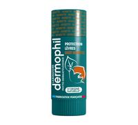 DERMOPHIL Stick Lèvres Protection Goût Noisette Rouge(S) À 4 g