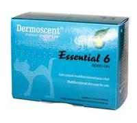 Dermoscent essential 6 - chats - 4 pipettes G
