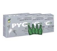 Dermoscent pyospot soin cutané pour chien de 20 à 40 kg boîte de 4 pipettes G