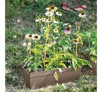 DEROMA Jardiniere Ninfea R camel a réserve d'eau - Coloris taupe - 60cm G