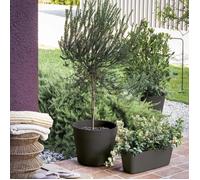 Deroma Jardinière Origin – 59 x 22,6 cm – 18 L – Gris