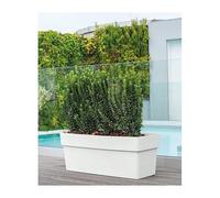 Deroma Pot Standard
