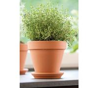 DEROMA-Vase brut rouge en terre cuite D.31 x H29