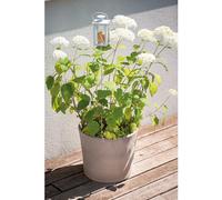 DEROMA-Vase Cilindrico Gris grafite en terre cuite D25 x H21