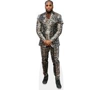 Derrick Henry (Animal Print) Silhouette en Carton Taille Mini