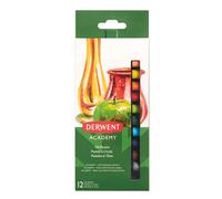 Derwent : Académie Huile Boîte De Pastels 12