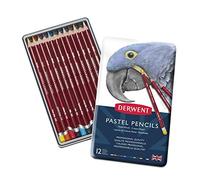 Derwent Pastel - Set de 12 Crayons Pastels, Qualité Professionnelle, 32991