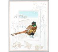 Derwentwater Designs Craft Kit, coton, Multi Couleur, One