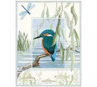 Derwentwater Designs Kit photo de la faune : martin-pêcheur