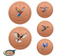 Derwrtup Lot de 5 disques en cuivre pour abreuvoir d'oiseaux, disque de nettoyage avec support à trois points, résistant à la rouille, pour jardin, terrasse, utilisation toute l'année