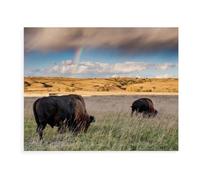des Bisons dans Le Parc National de Yellowstone，Puzzles Personnalisés, 1000 Pièces Puzzle en Bois, pour Enfants Adultes Famille Jeu Difficulté Défi Puzzles（75x50cm）-BC84
