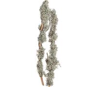 Des branches décoratives naturelles avec du lichen pour des compositions créatives