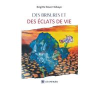Des brisures et des éclats de vie