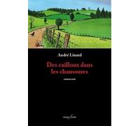 Des Cailloux Dans Les Chaussures