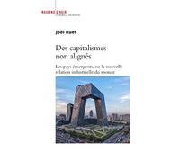 Des capitalismes non alignés: Les pays émergents, ou la nouvelle relation industrielle du monde
