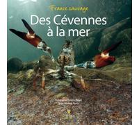 Des Cévennes À La Mer