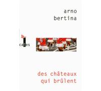 Des châteaux qui brûlent - Arno Bertina - Verticales - broché - Roman