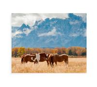 des Chevaux dans Le Parc National de Grand Teton，Puzzle, 1000 Pièces De Puzzle pour Adultes, Miracle De Puzzle Impossible, Jouet De Puzzle Éducatif pour Enfants（75x50cm）-BC82