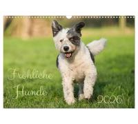 Des chiens joyeux (Calendrier mural 2026 DIN A3 horizontal), CALVENDO calendrier mensuel