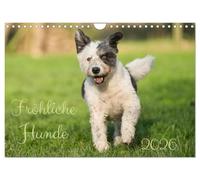Des chiens joyeux, Version française (Calendrier mural 2026 DIN A4 portrait), Calendrier CALVENDO mensuel