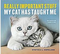 Des choses très importantes que mon chat m'a apprises