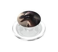 des Dinosaures fascinants Un aperçu du Monde primitif PopSockets PopGrip pour MagSafe