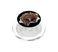 des échidnés drôles jetant Un Coup d'œil Mignon aux Animaux du Zoo PopSockets PopGrip pour MagSafe
