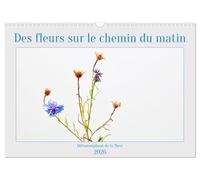 Des fleurs sur le chemin du matin (Calendrier mural 2026 DIN A3 vertical), CALVENDO calendrier mensuel: La métamorphose des fleurs, les moyens de semer