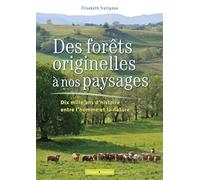 Des forêts originelles à nos paysages: Dix mille ans d histoire entre l homme et la nature