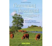 Des forêts originelles à nos paysages: Dix mille ans d histoire entre l homme et la nature