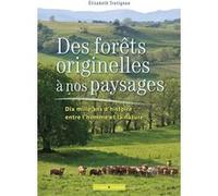 Des forêts originelles à nos paysages: Dix mille ans d histoire entre l homme et la nature